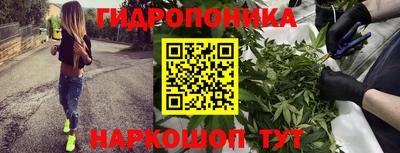стафф Рязань