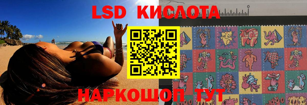 LSD-25 экстази кислота  Вход с VPN  Бердск 