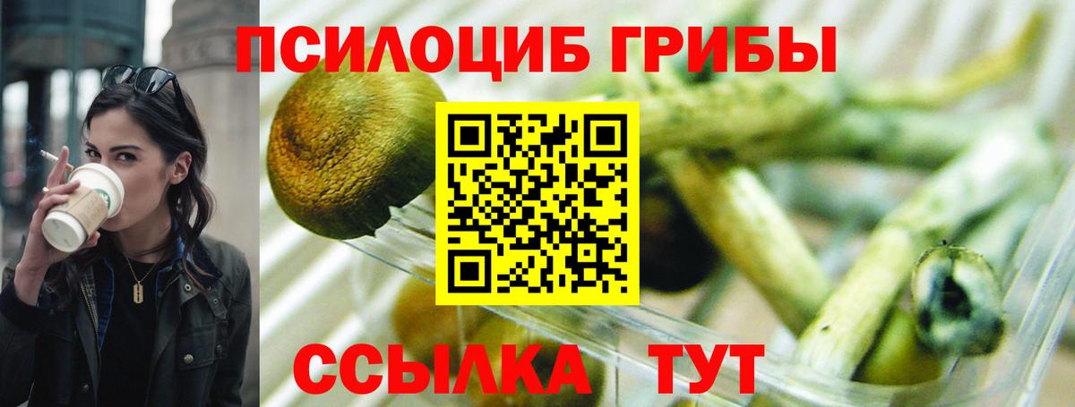 Бердск  Галлюциногенные грибы Psilocybine cubensis  купить наркотики цена  Вход с VPN  Псилоцибиновые грибы Magic Shrooms 