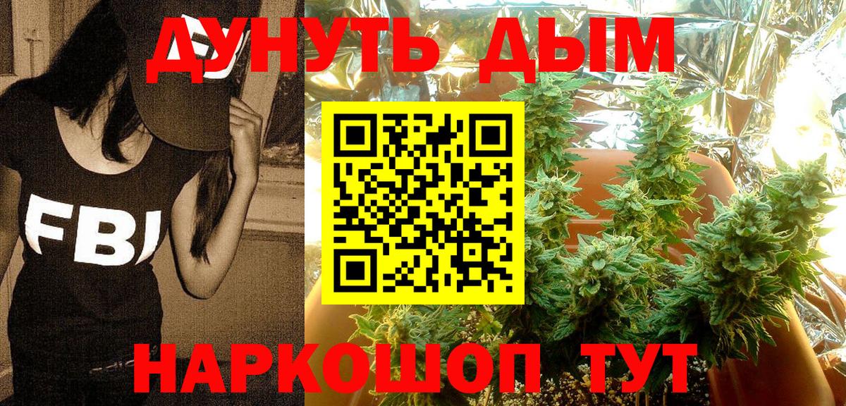 Шишки марихуана гибрид  Марихуана тримм  Марихуана VHQ  Вход с VPN  Бердск 